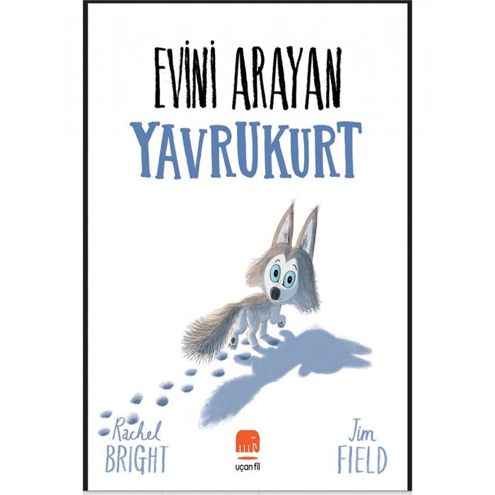 Evini Arayan Yavrukurt