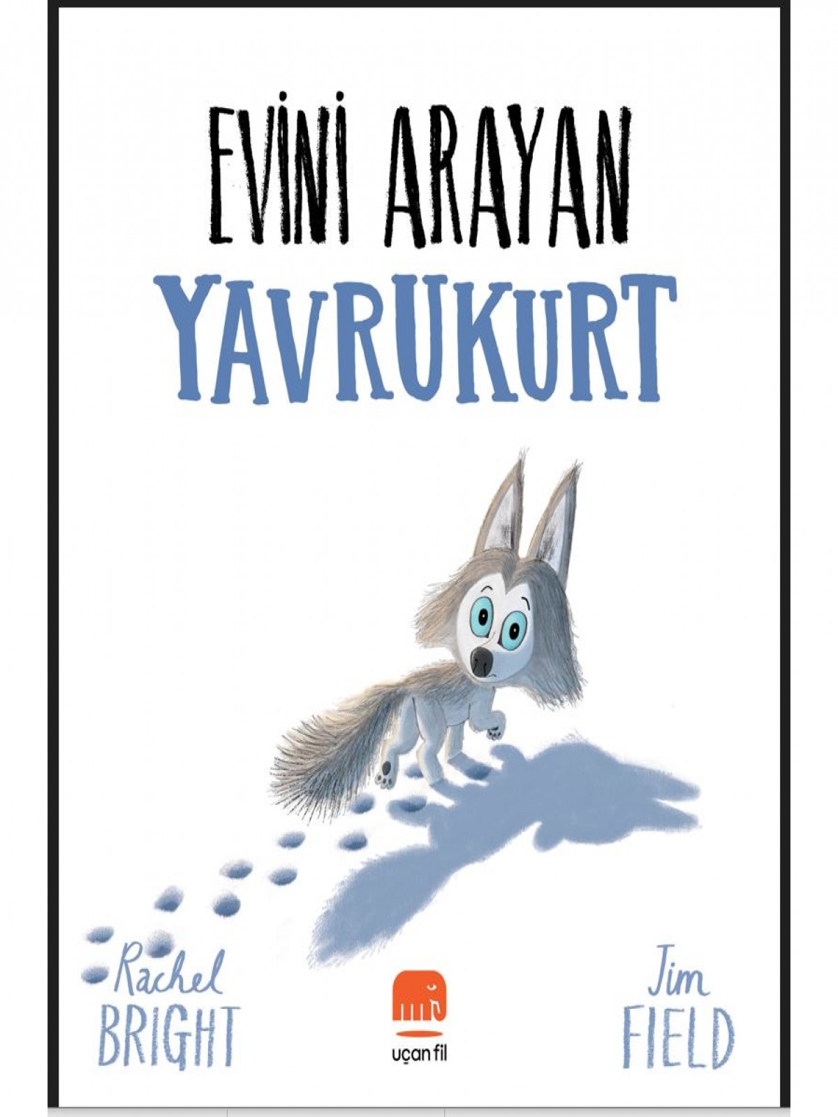 Evini Arayan Yavrukurt