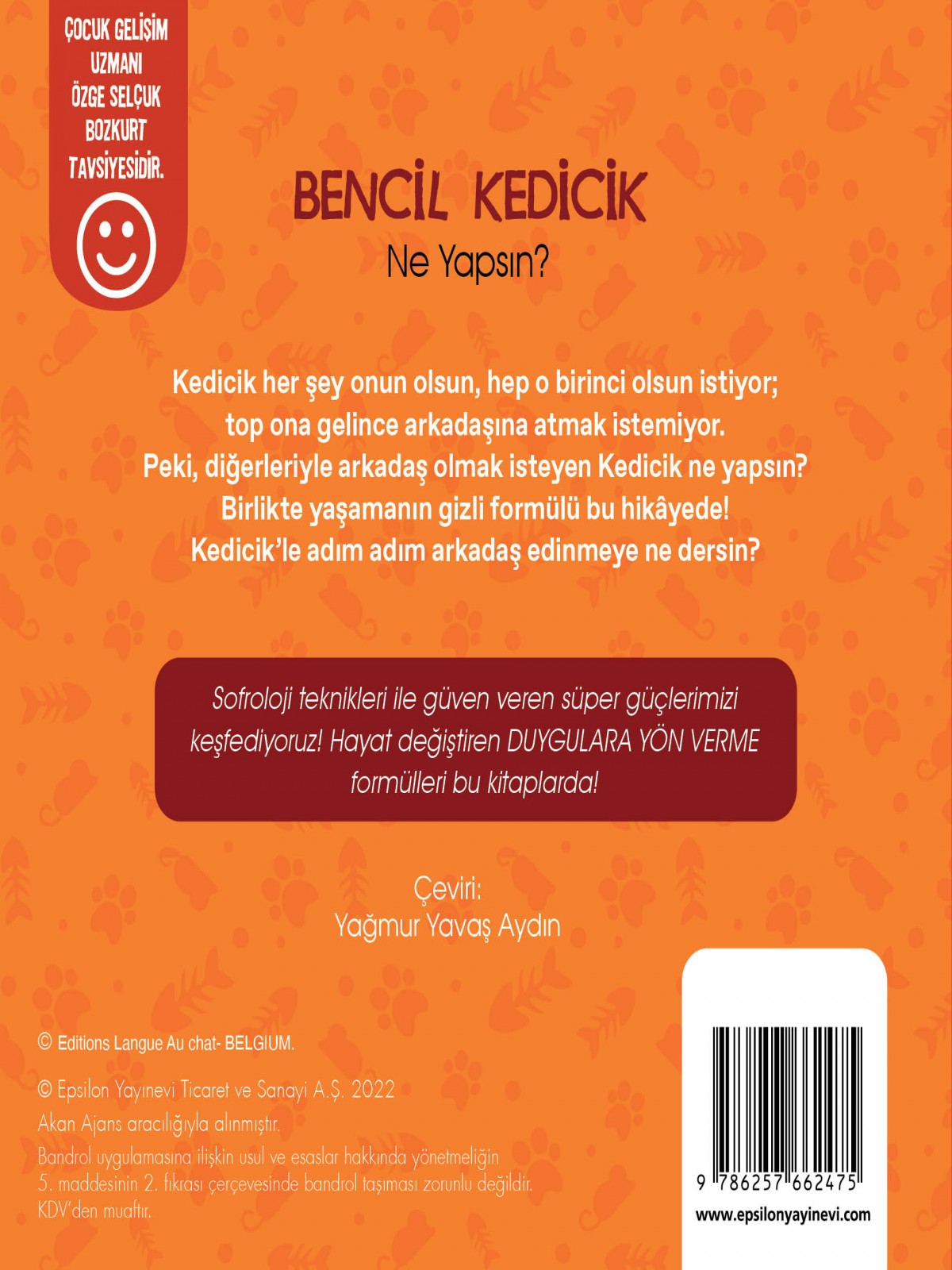 Bencil Kedicik Ne Yapsın?