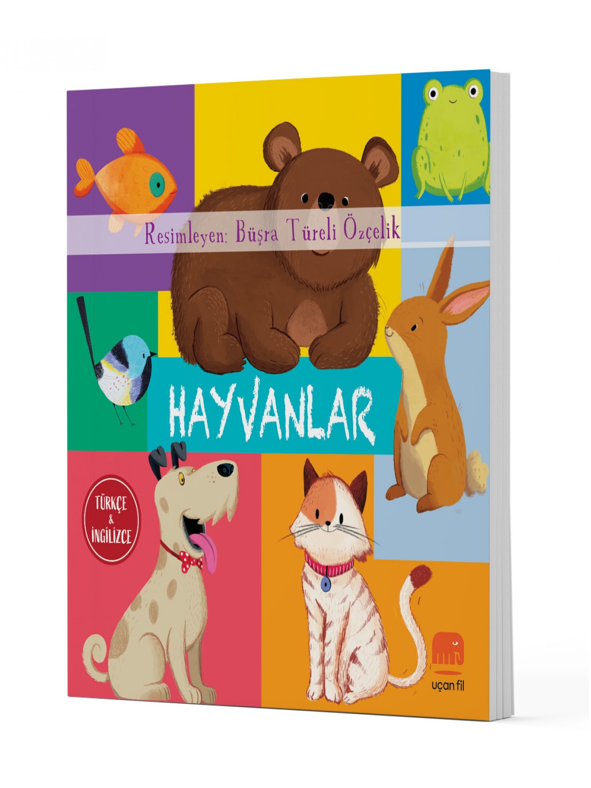 Türkçe ve İngilizce - Hayvanlar