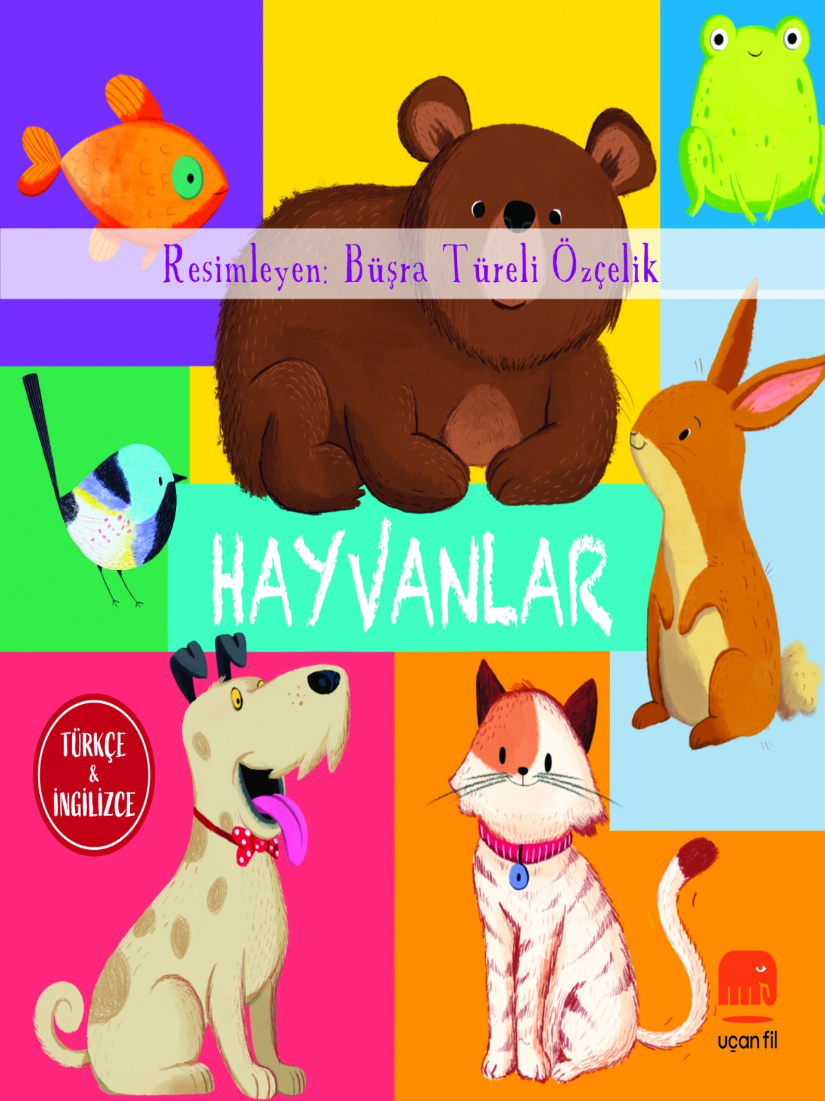 Türkçe ve İngilizce - Hayvanlar