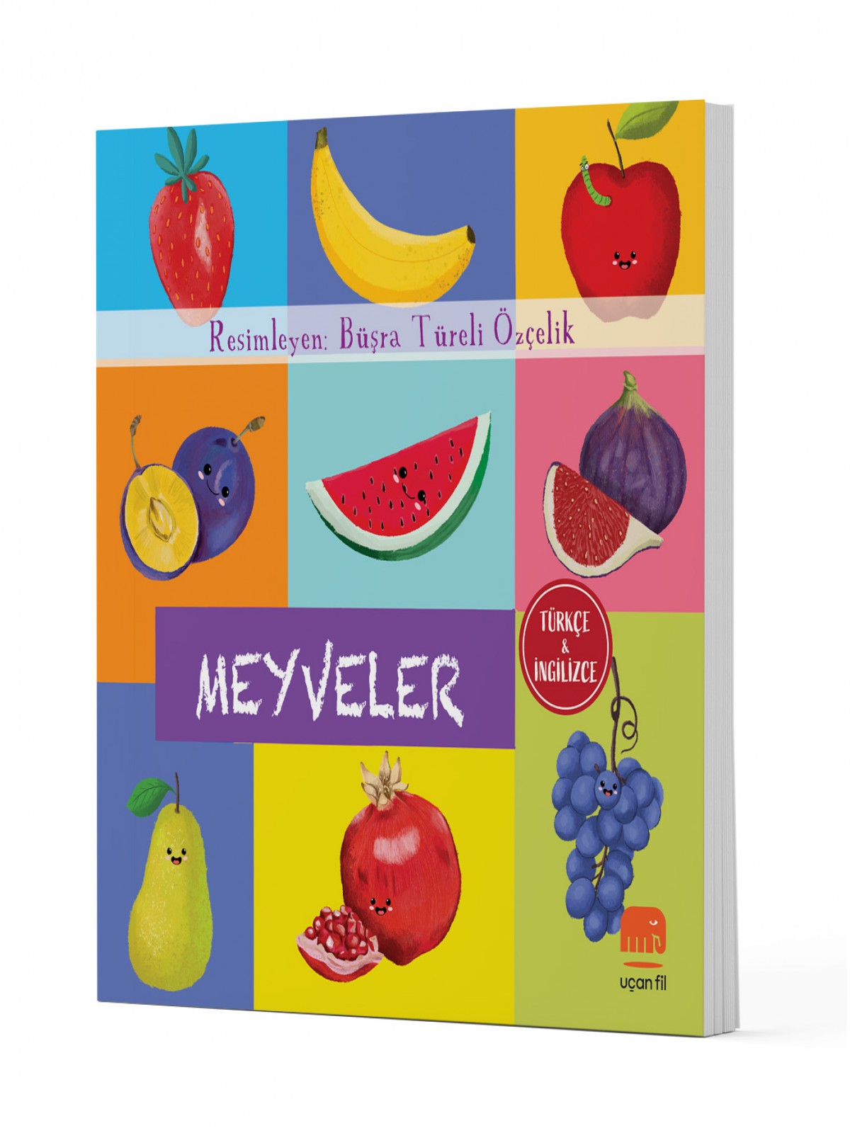 Türkçe ve İngilizce - Meyveler