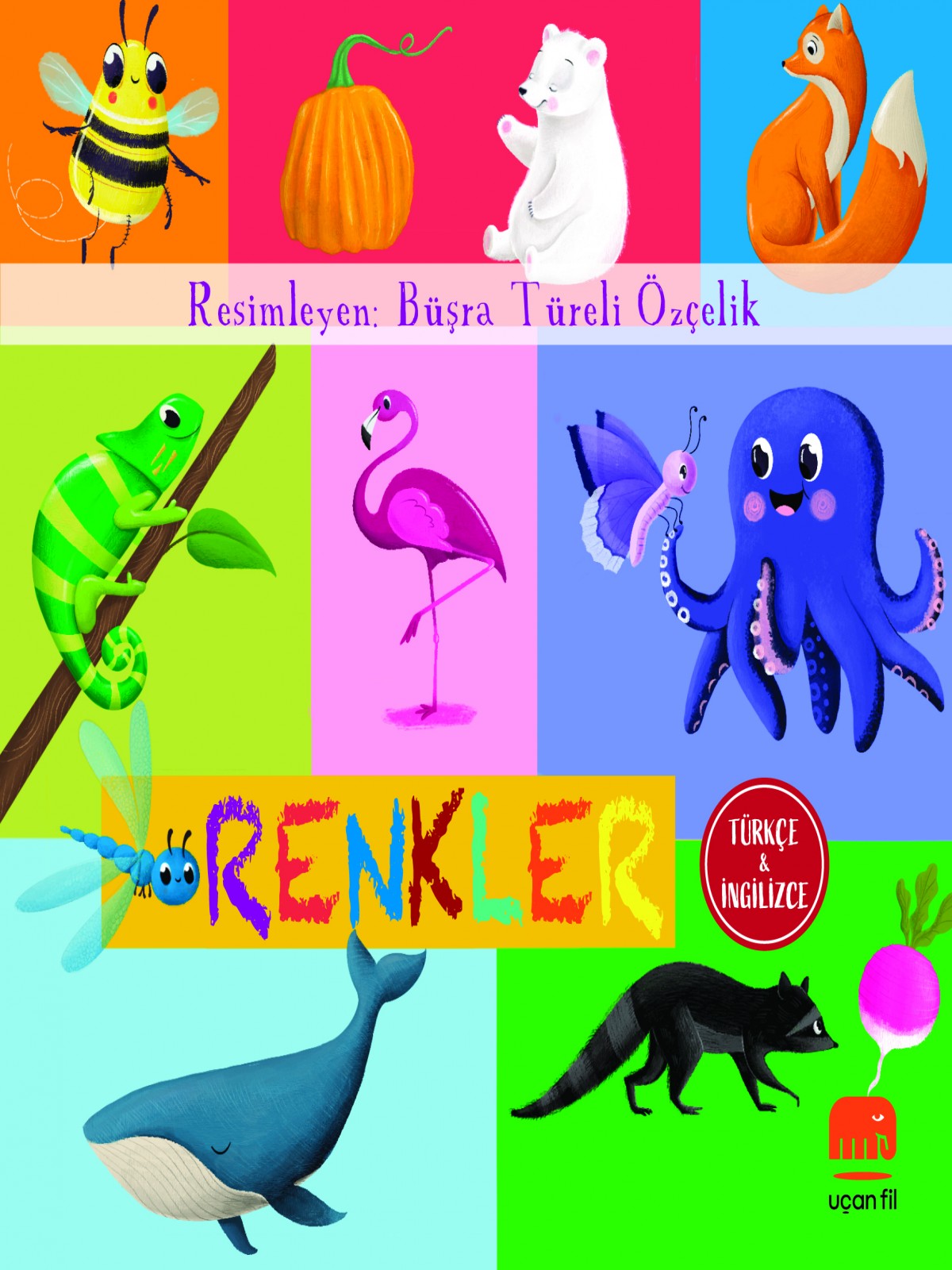 Türkçe ve İngilizce - Renkler