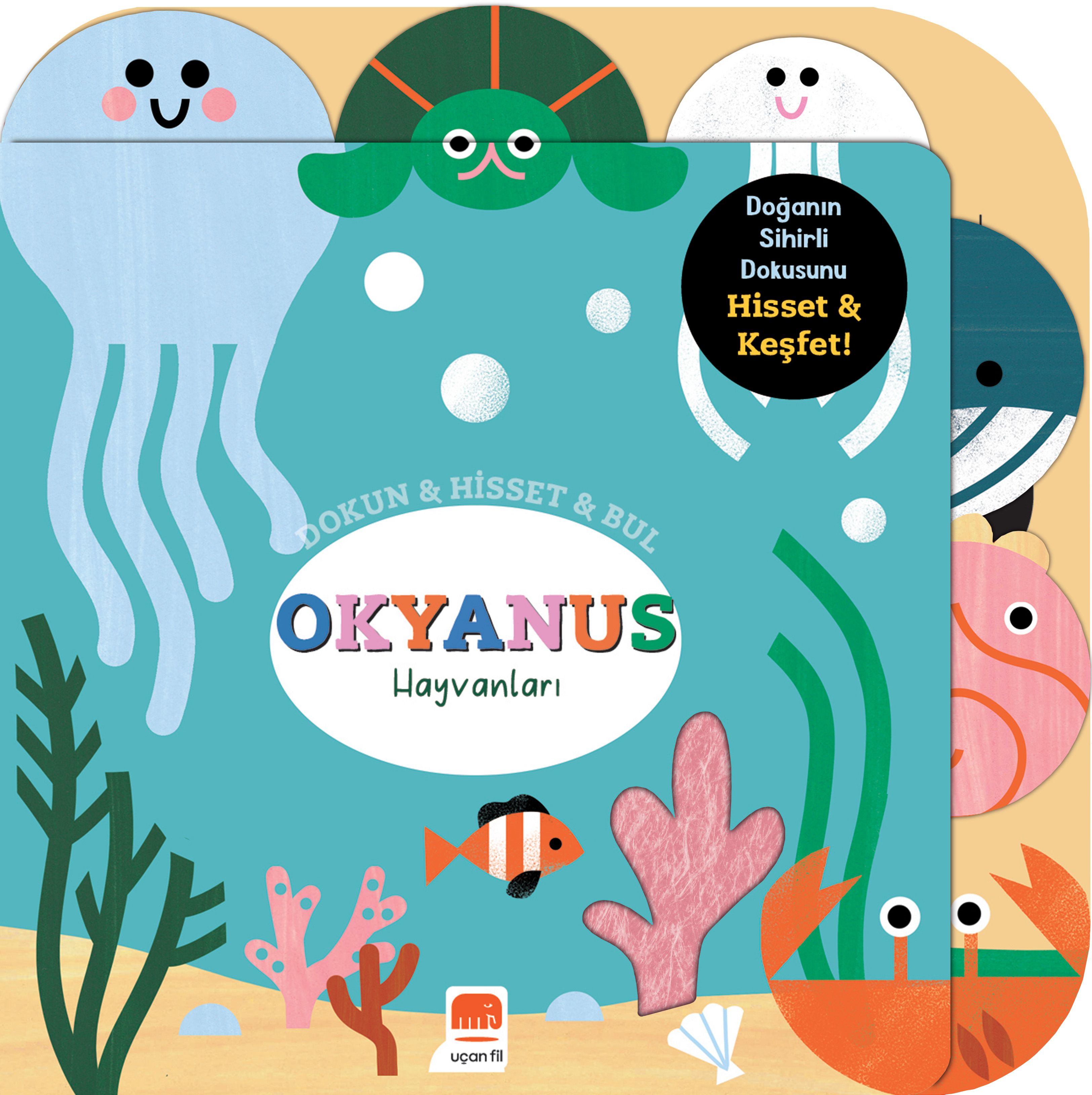 Dokun&Hisset&Bul - Okyanus Hayvanları
