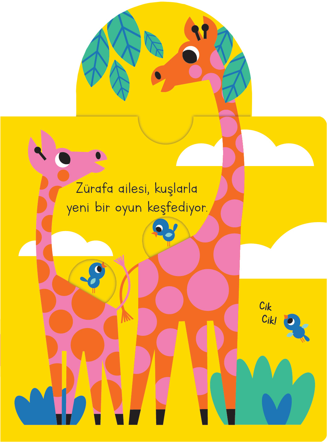 Kaydır ve Gülümse - Meraklı Kaşifler