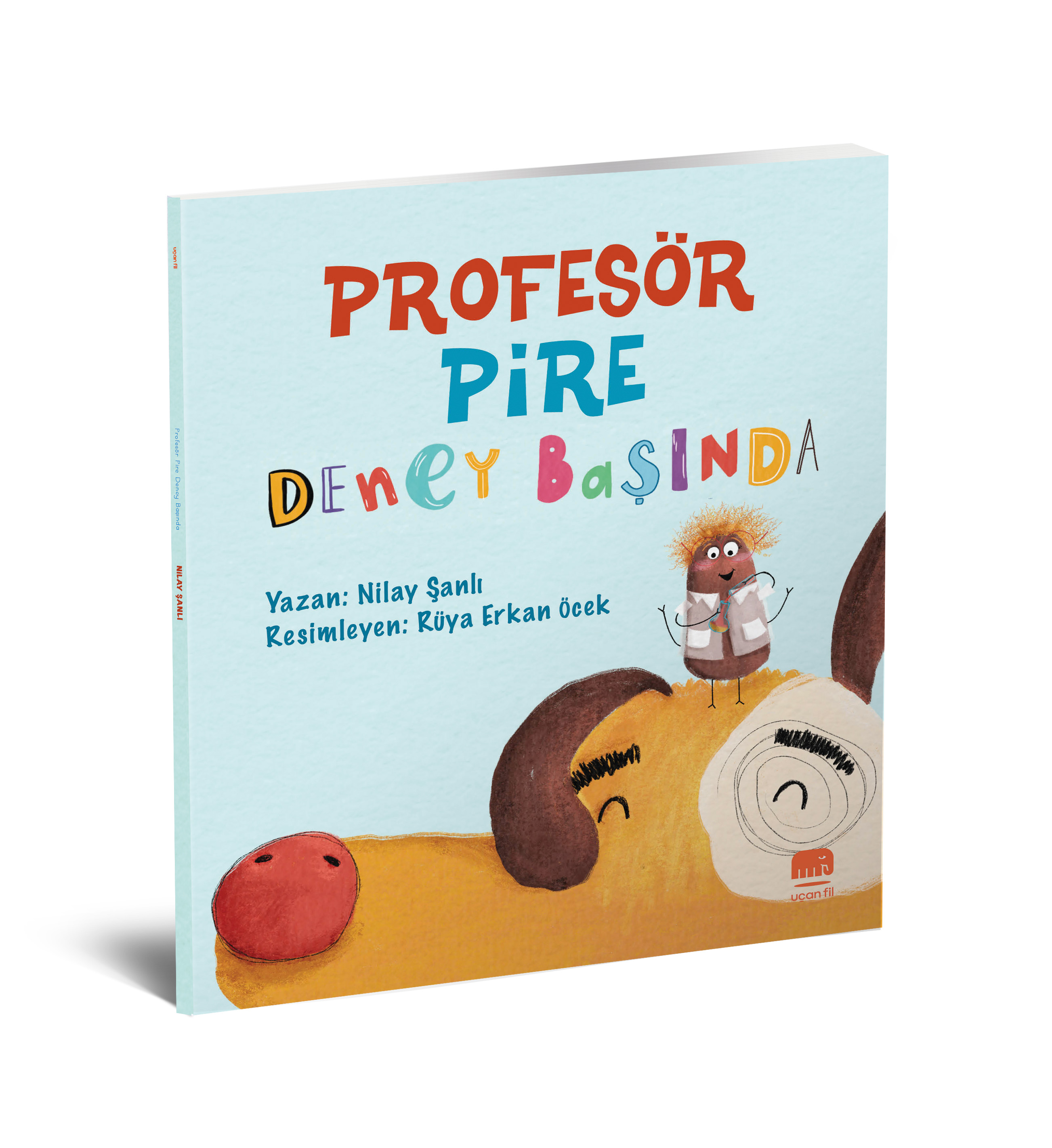 Profesör Pire