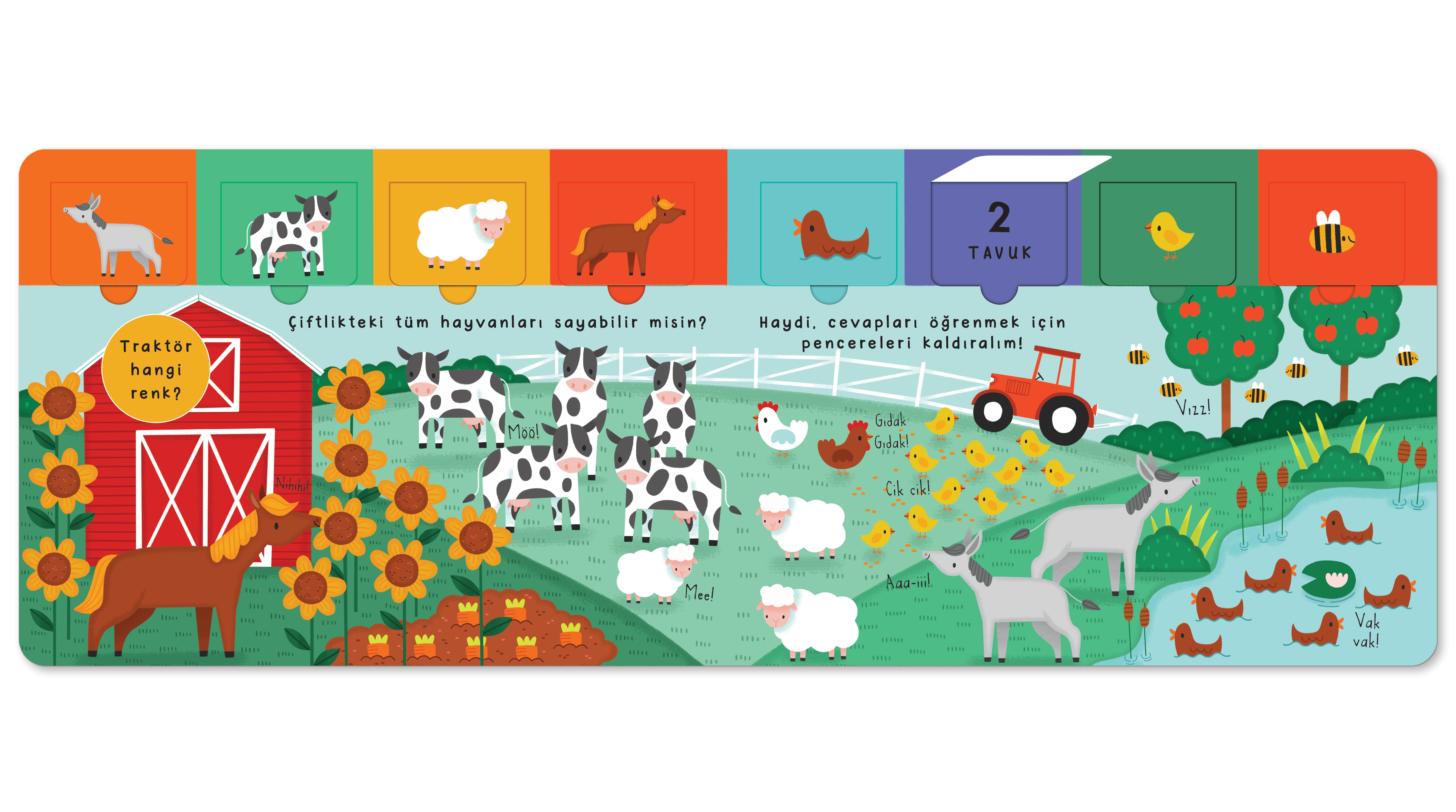 Pencereli Kitap Hayvanlar Alemi