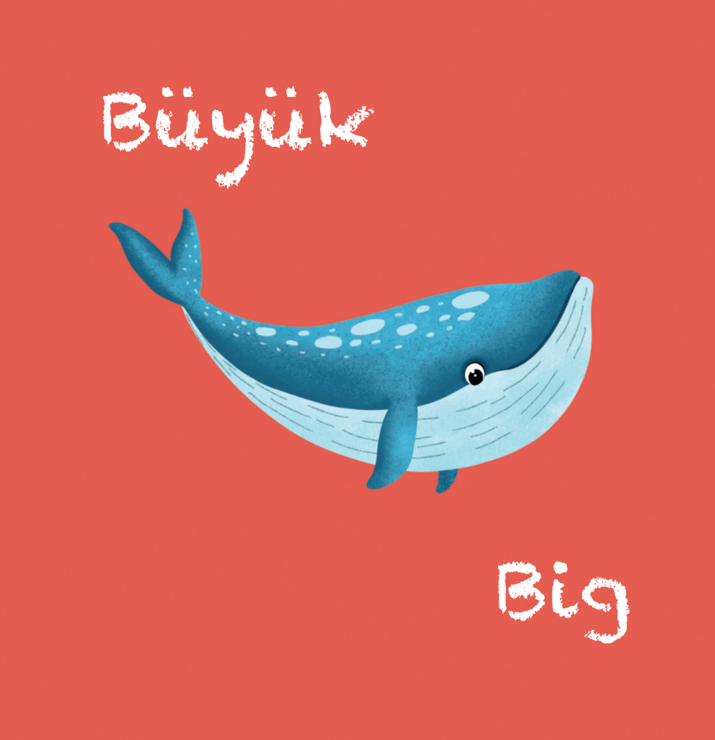 Türkçe ve İngilizce - Zıtlıklar