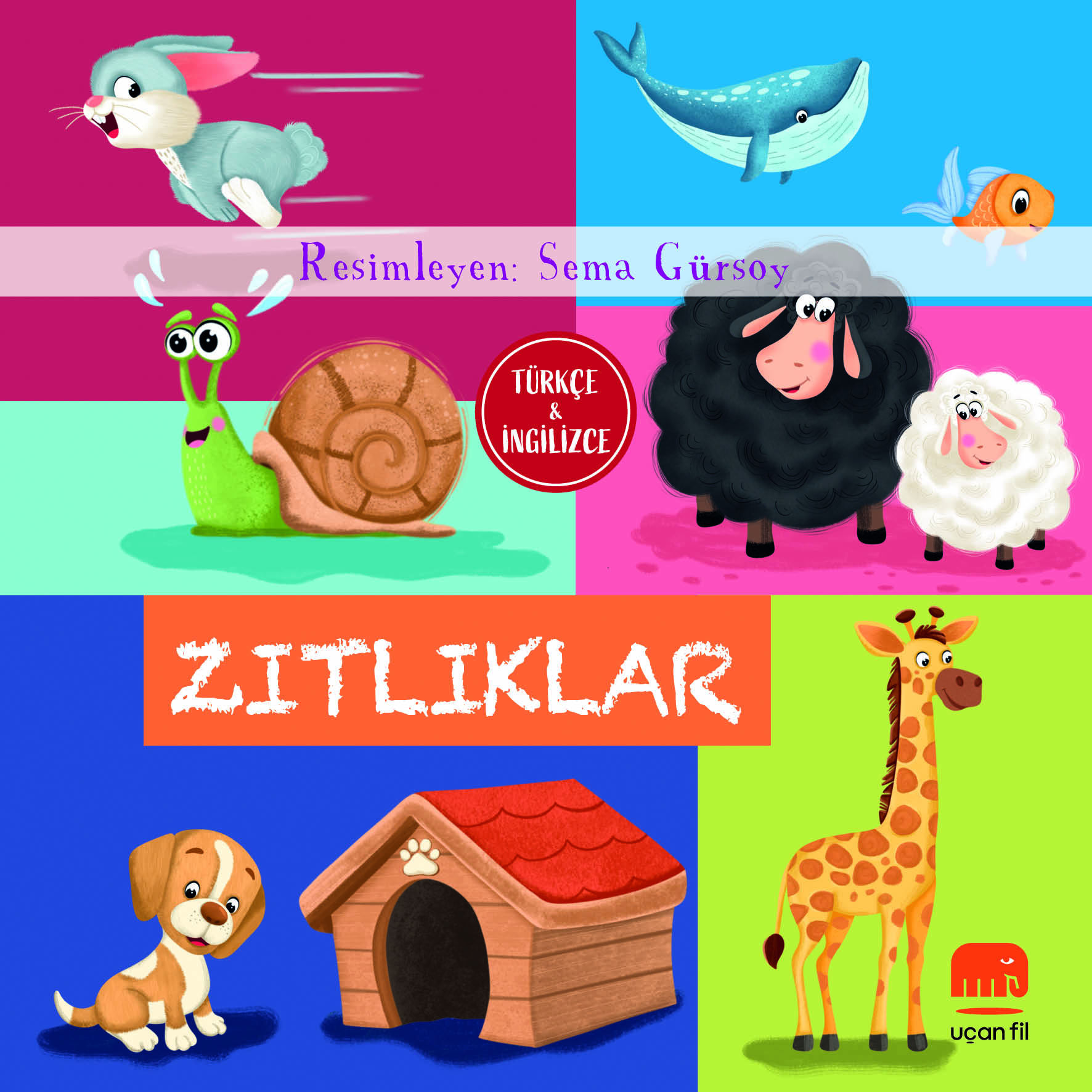 Türkçe ve İngilizce - Zıtlıklar