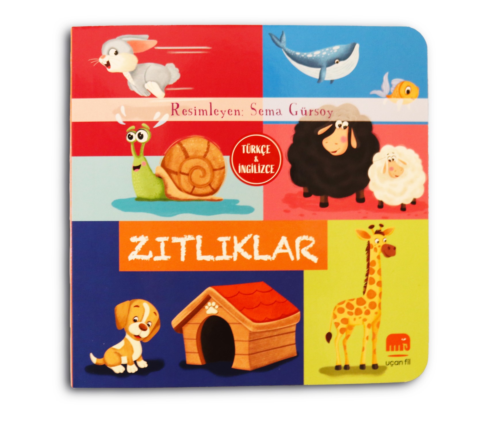 Türkçe İngilizce Kavramlar Seti 4 Kitap