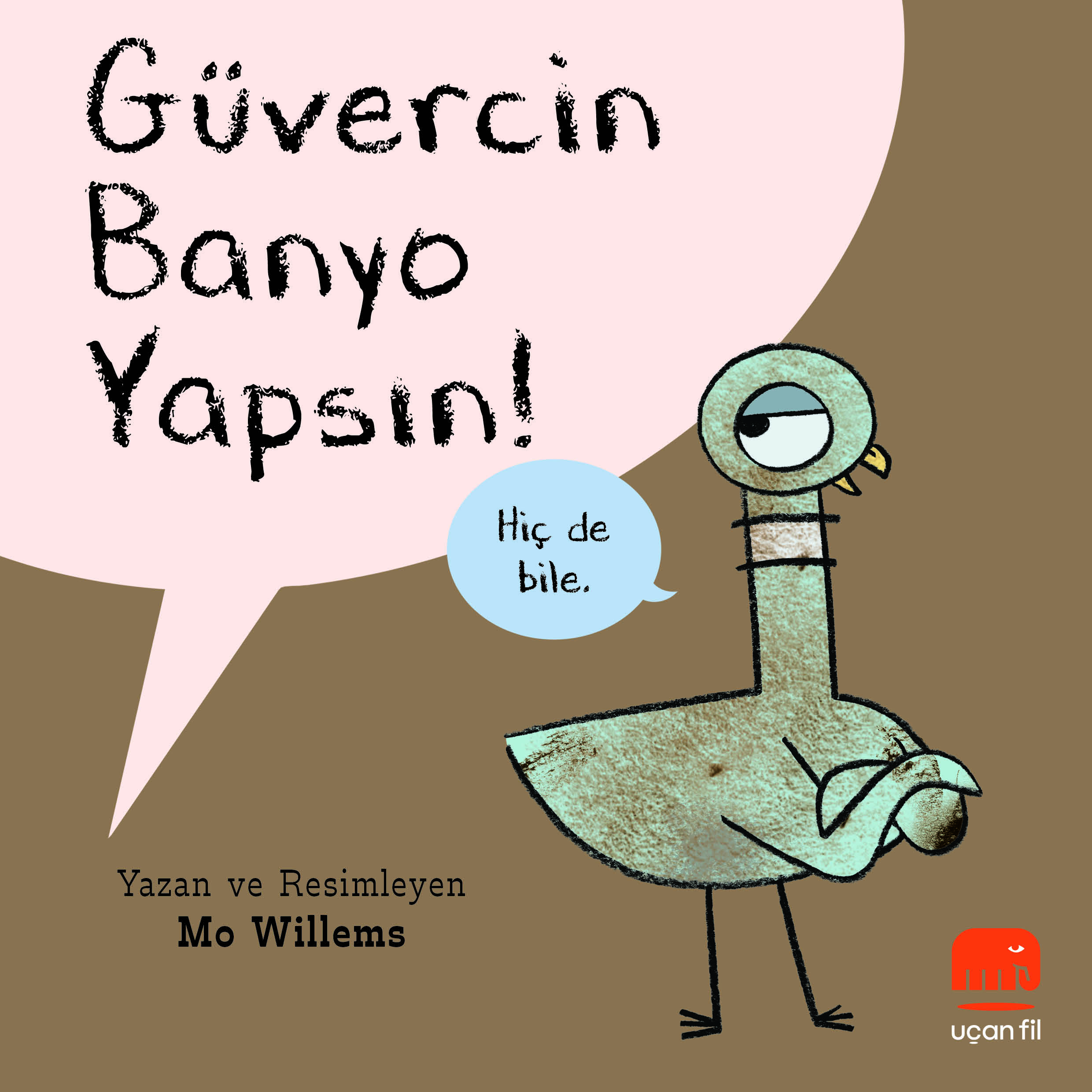 Güvercin Banyo Yapsın!