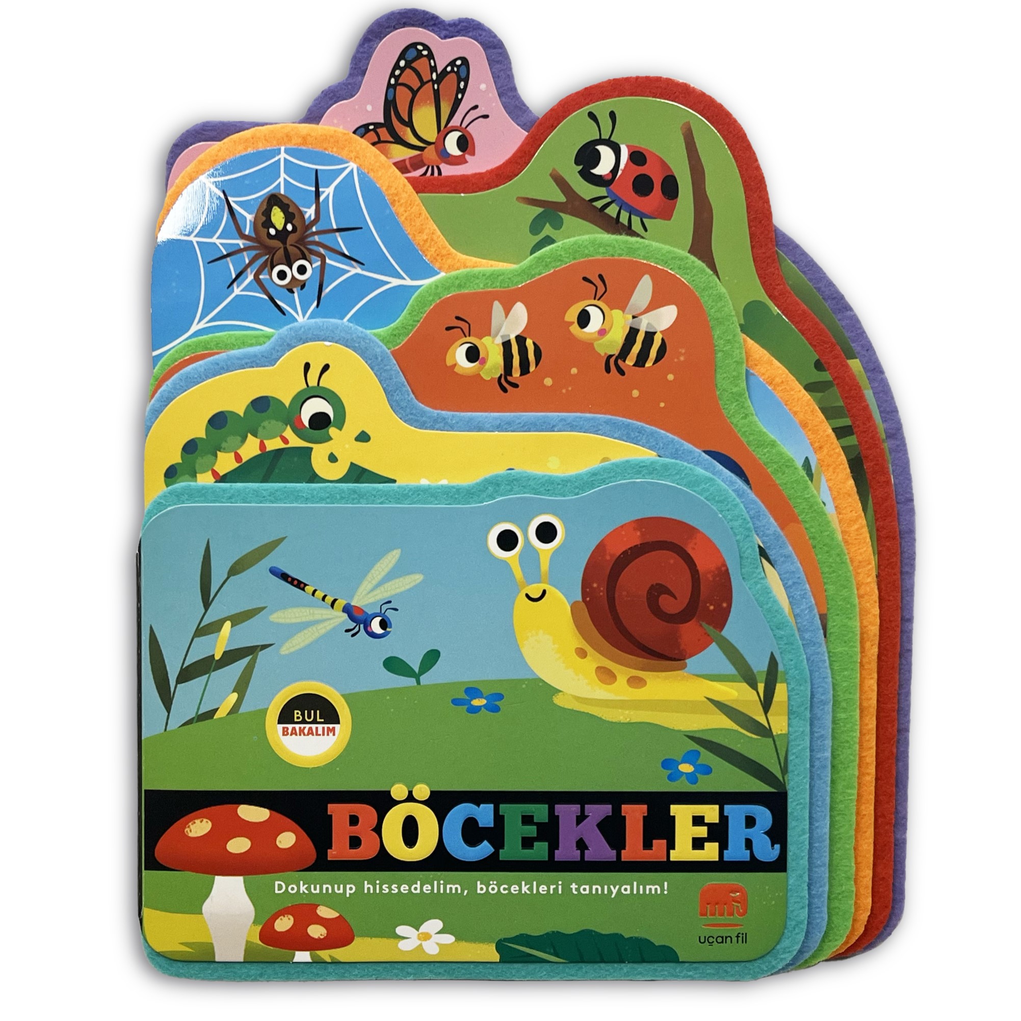 Bul bakalım - Böcekler