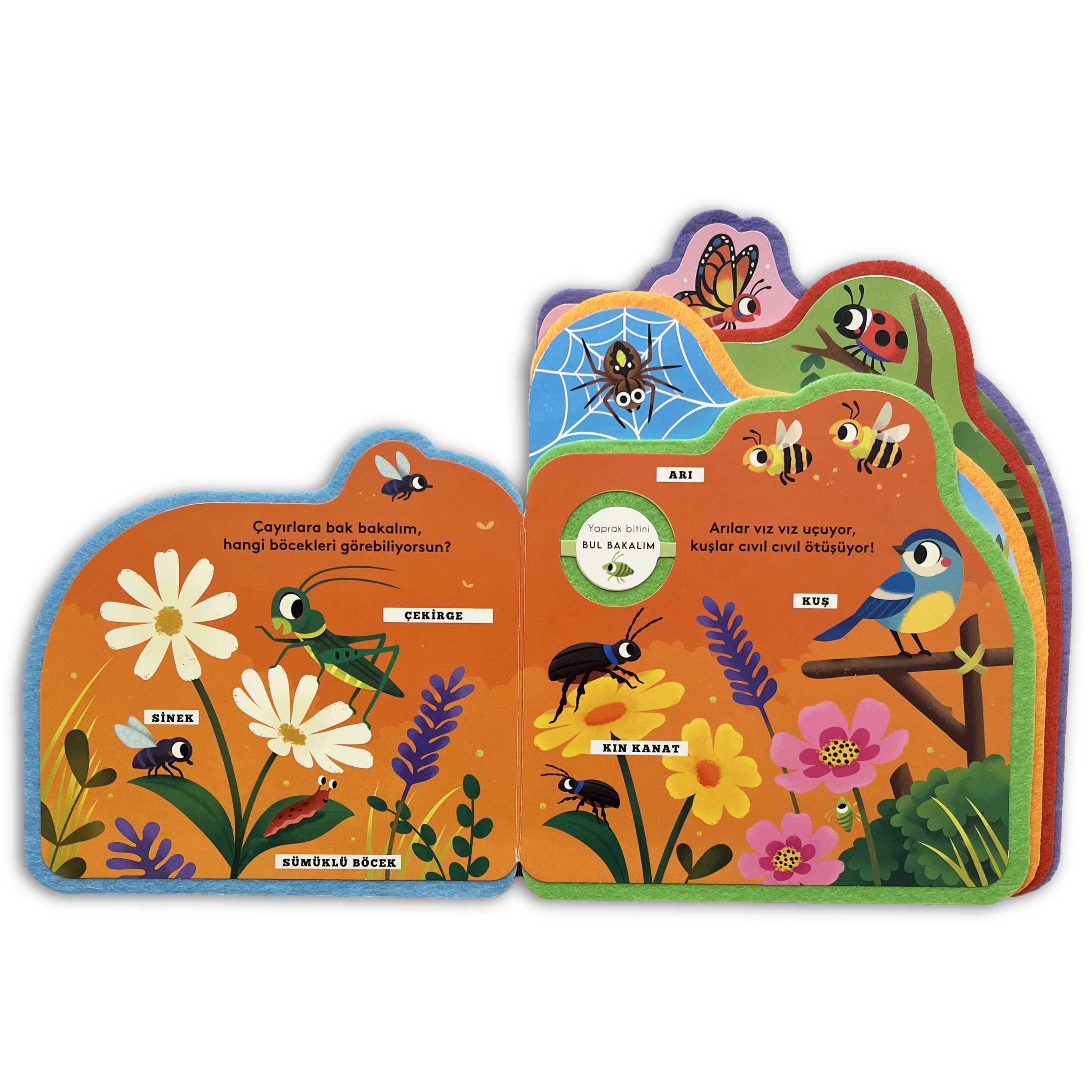 Bul bakalım - Böcekler