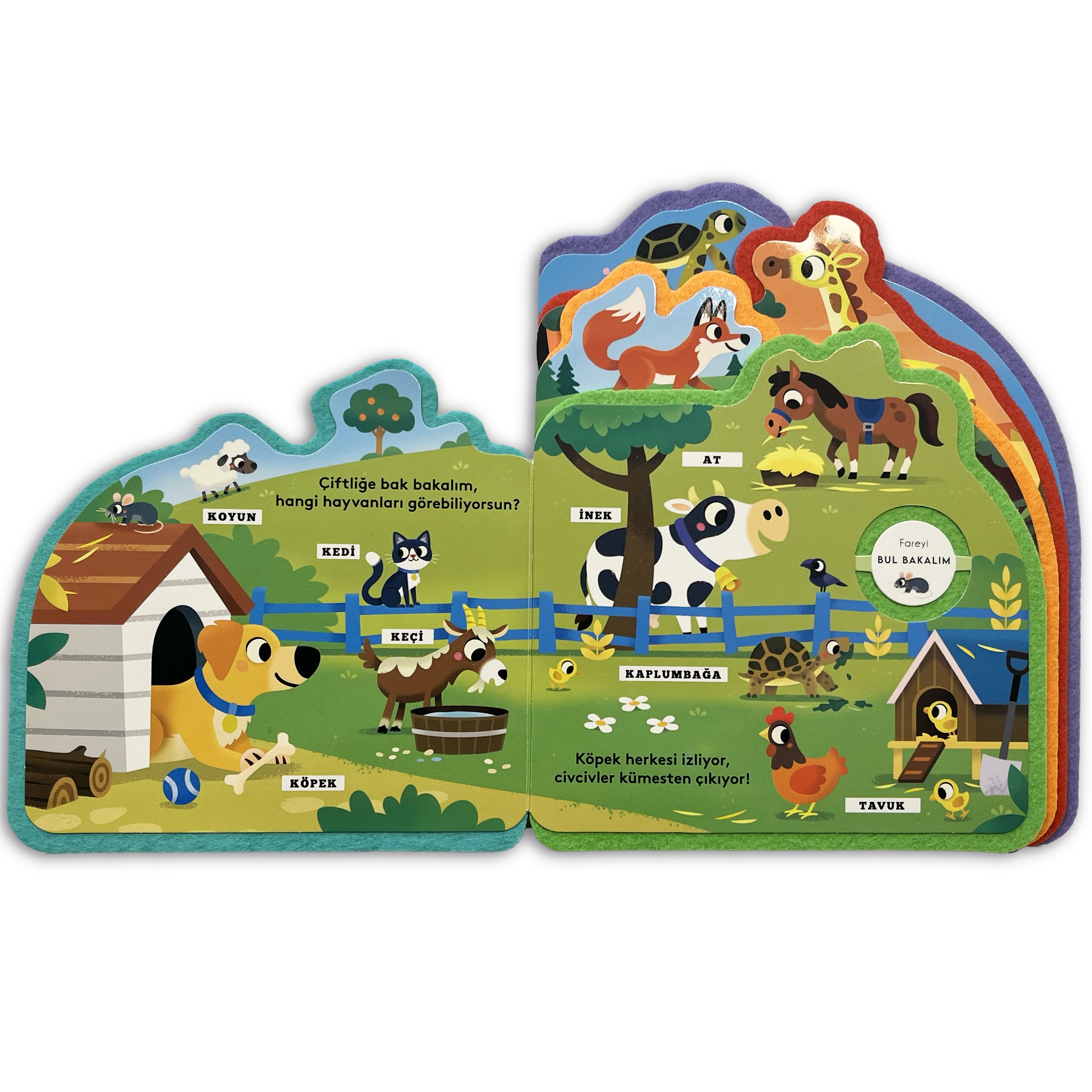 Bul bakalım - Hayvanlar