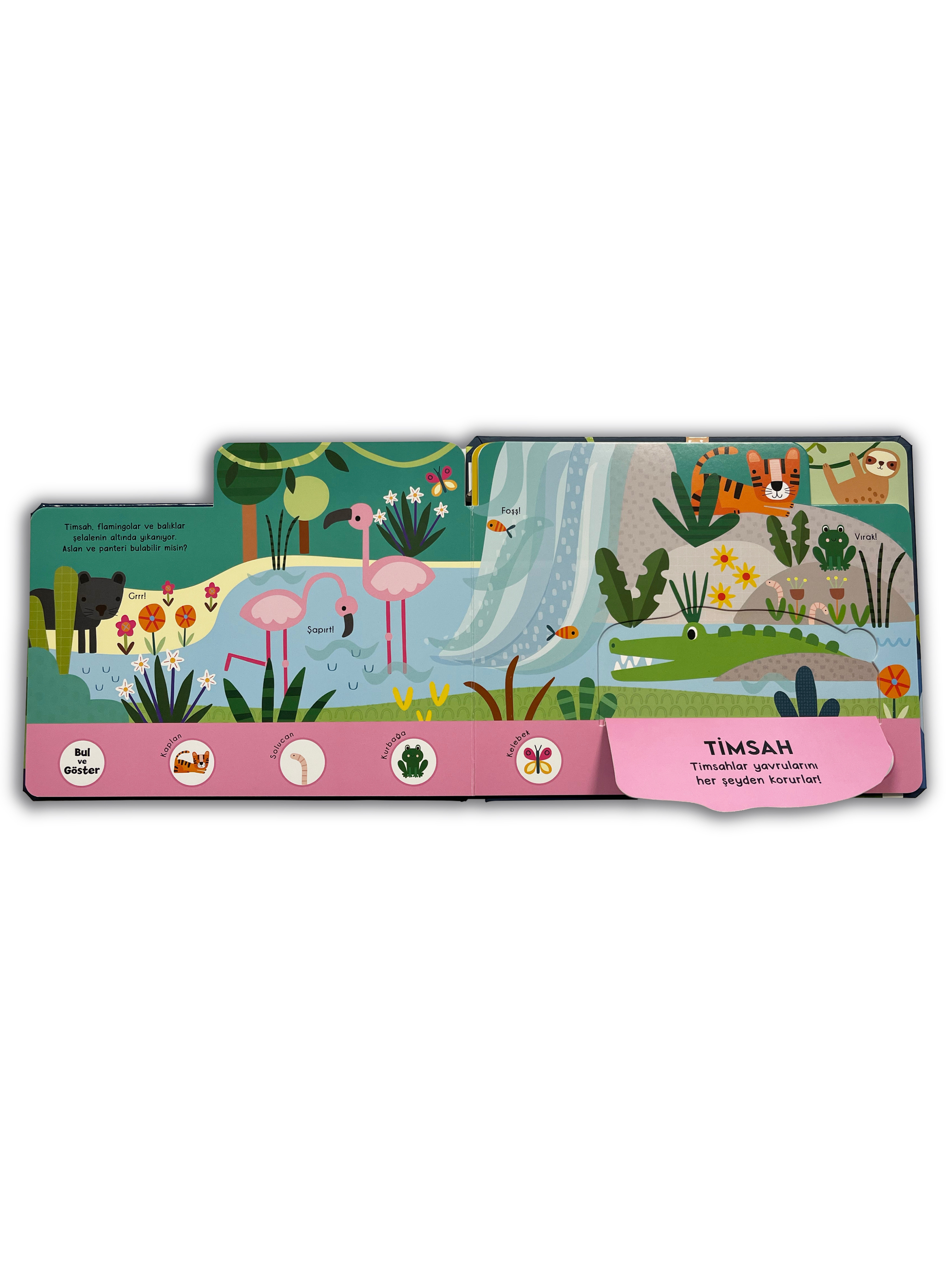 Bul ve Göster – Doğa Kâşifleri