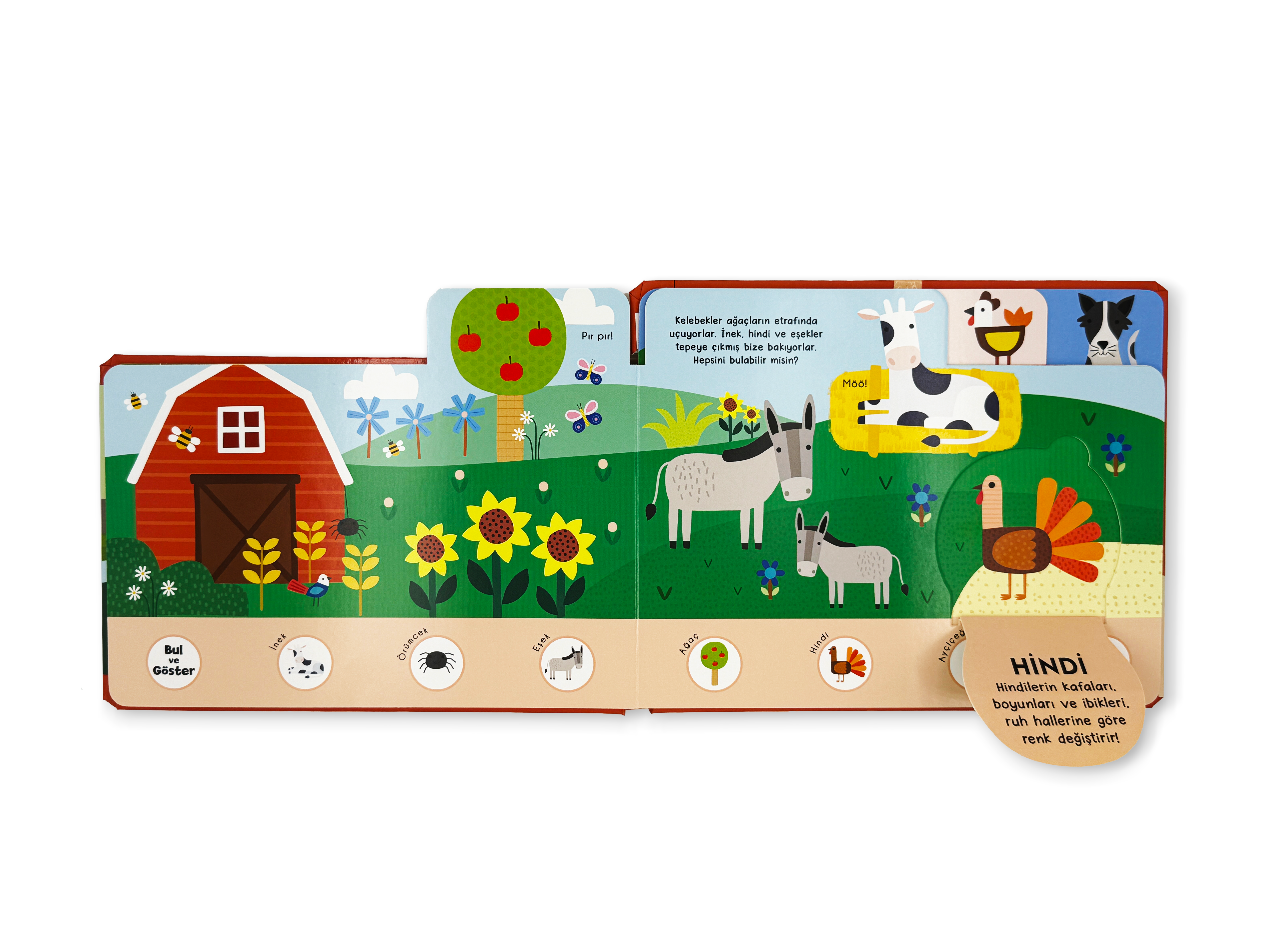 Bul ve Göster – Çiftlik Kâşifleri