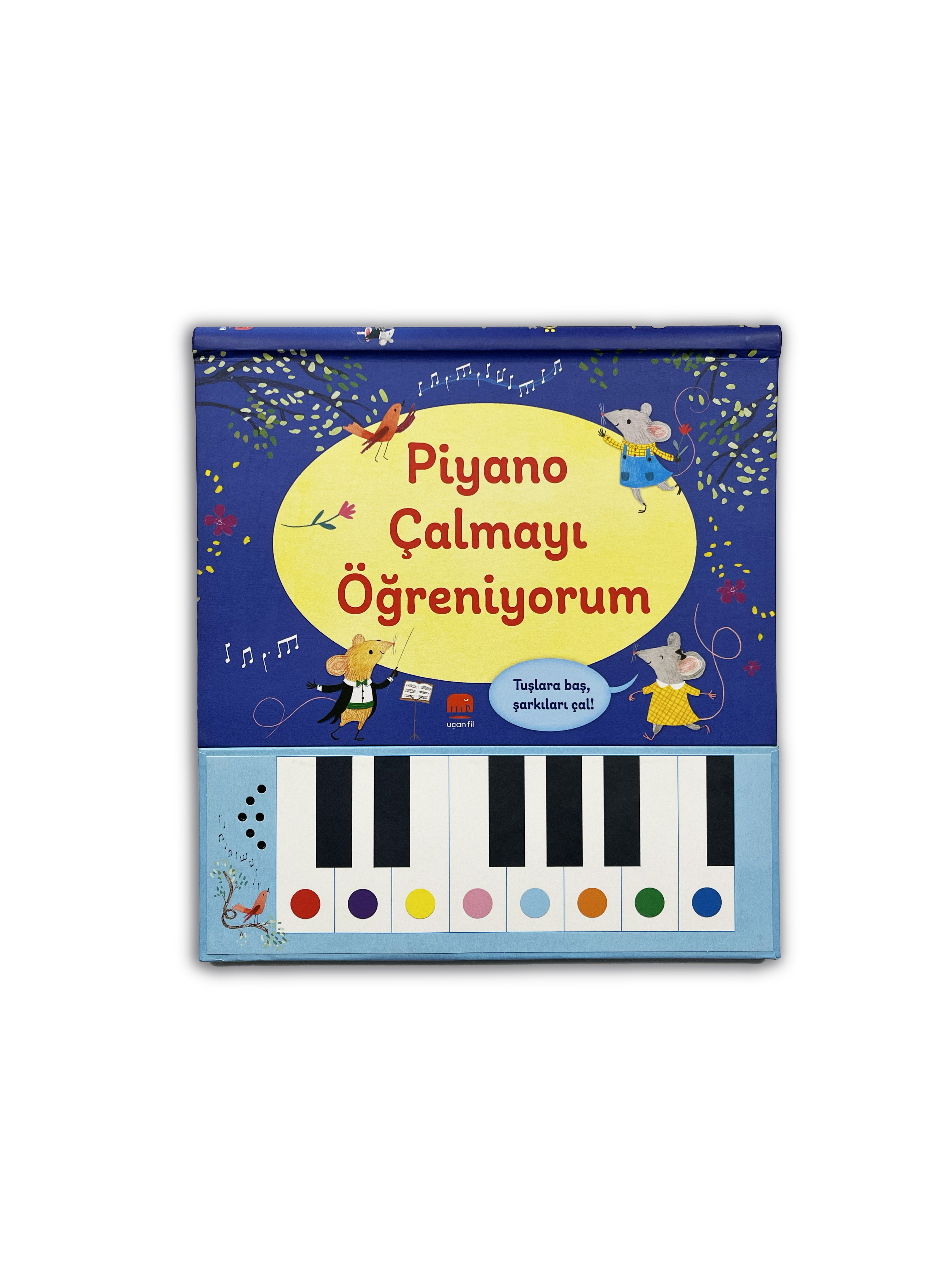 Piyano Çalmayı Öğreniyorum