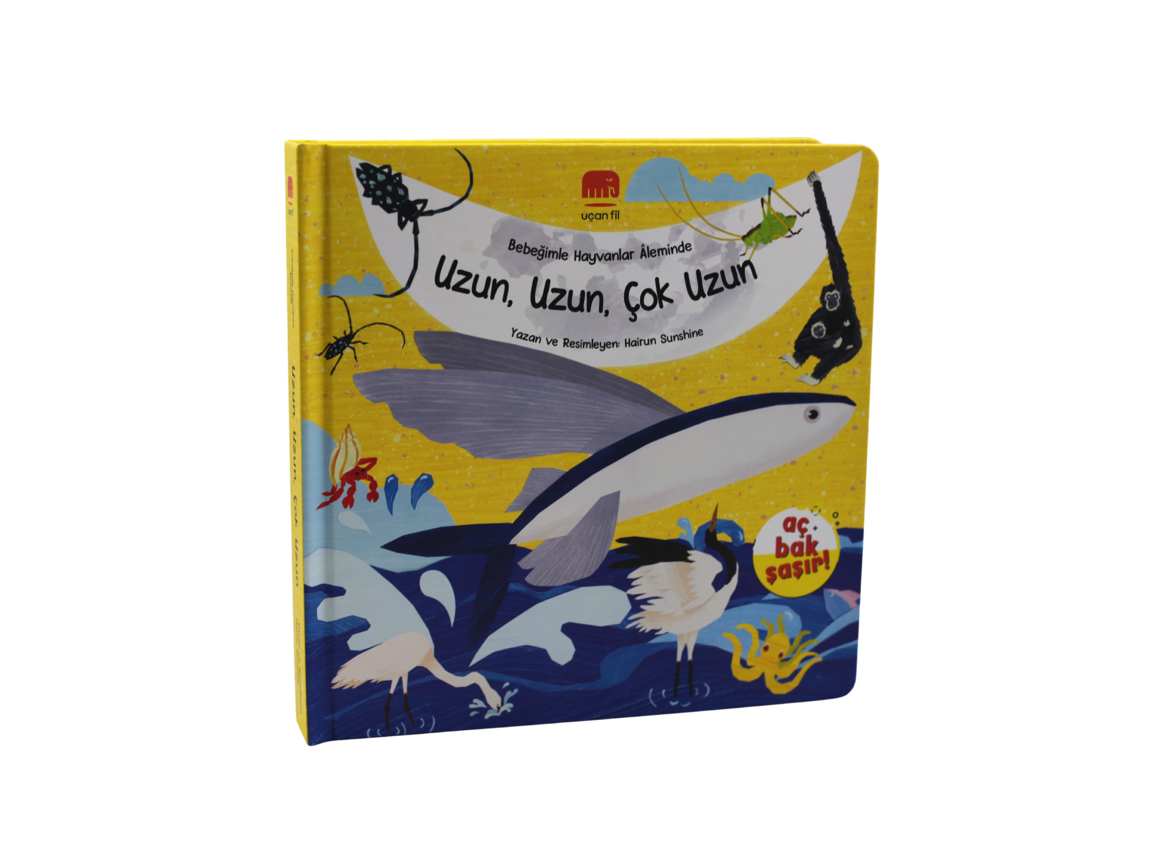 Bebeğimle Hayvanlar Âleminde Uzun, Uzun, Çok Uzun