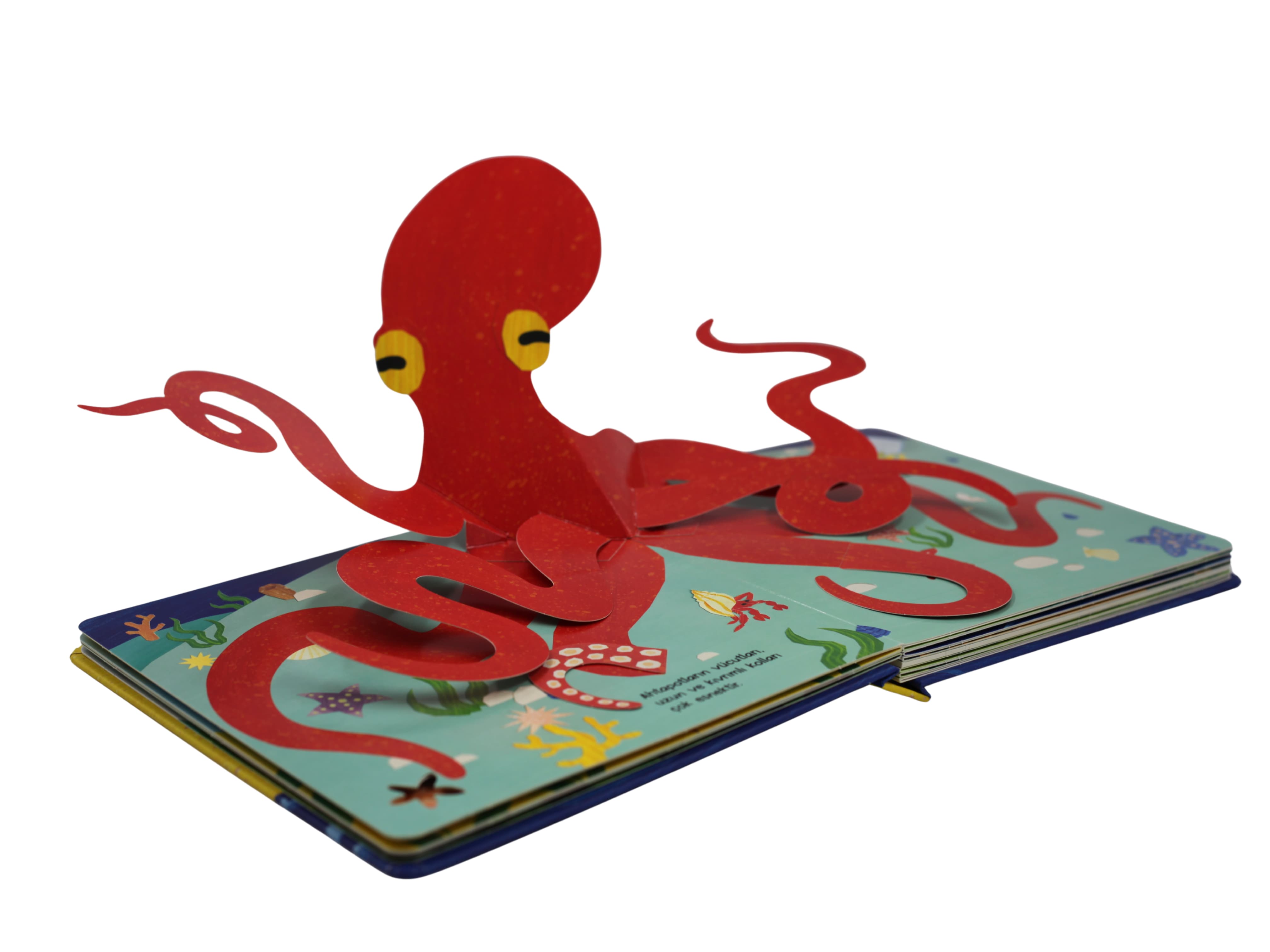 Bebeğimle Hayvanlar Âleminde Uzun, Uzun, Çok Uzun