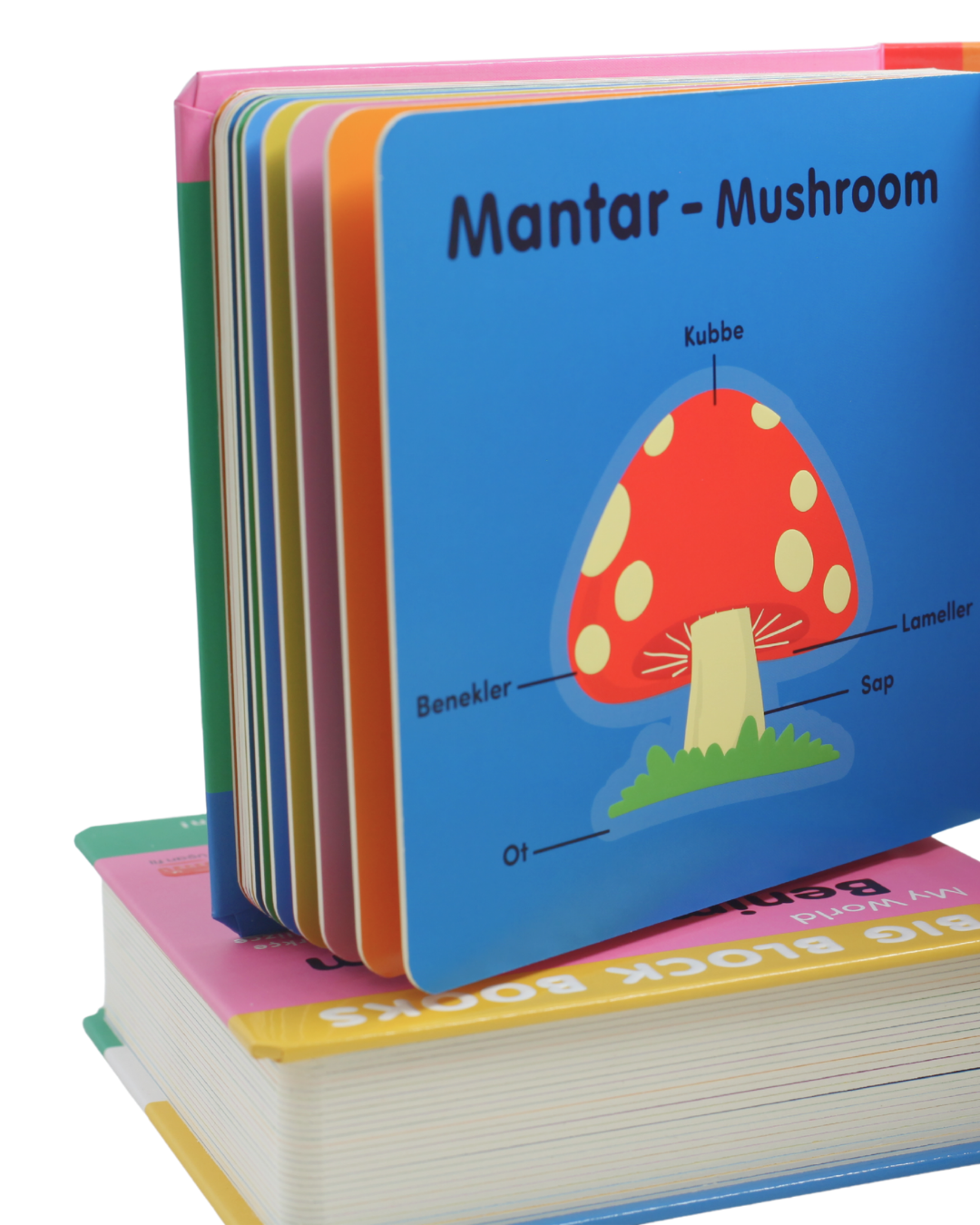 Big Block Books Dışarıdaki Hayat