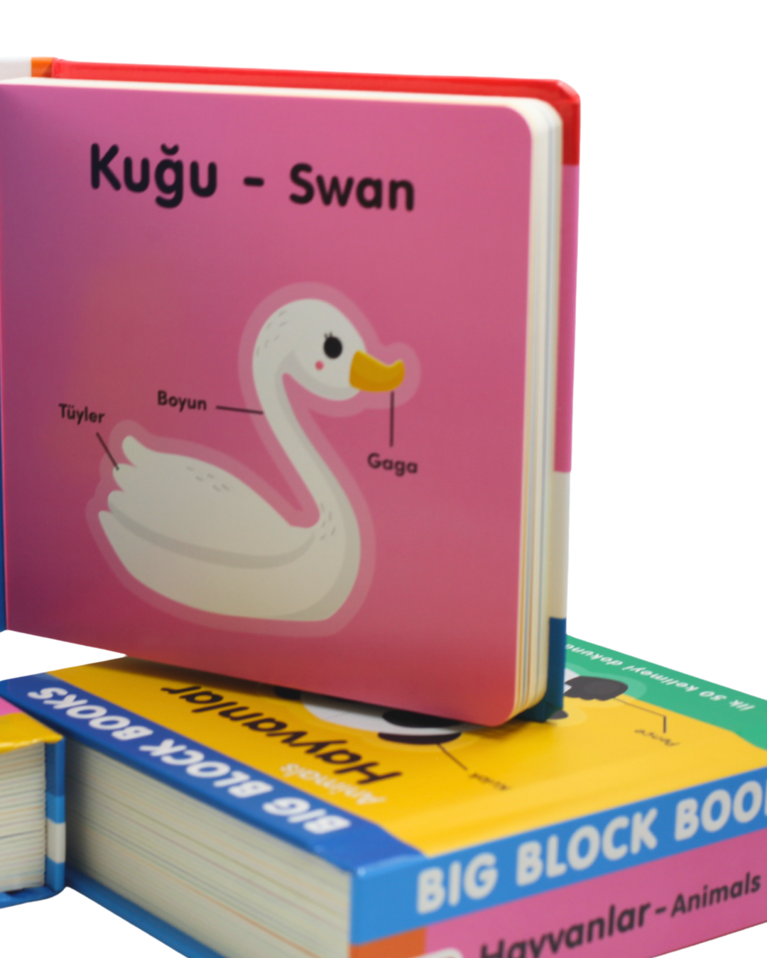 Big Block Books Dışarıdaki Hayat