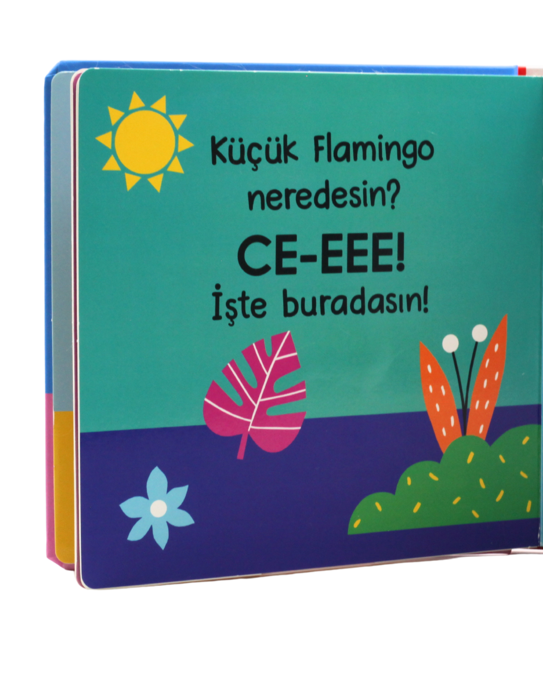 Ce-eeee!-Küçük Aslan Nerdesin?