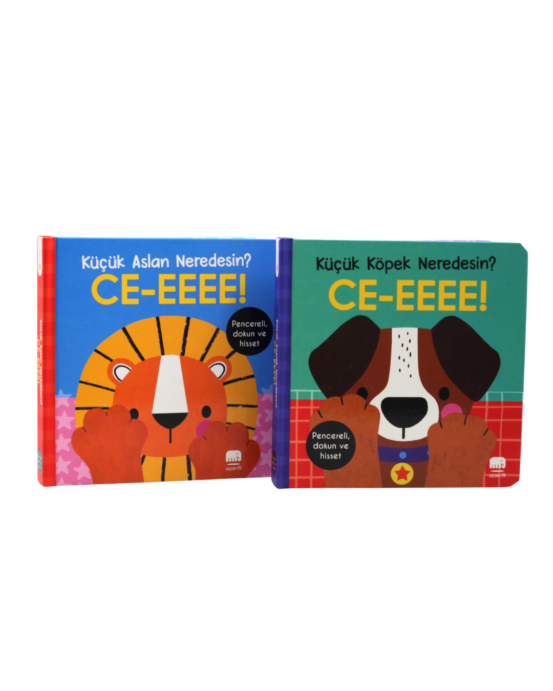 Ce-eeee!-Küçük Aslan Nerdesin?