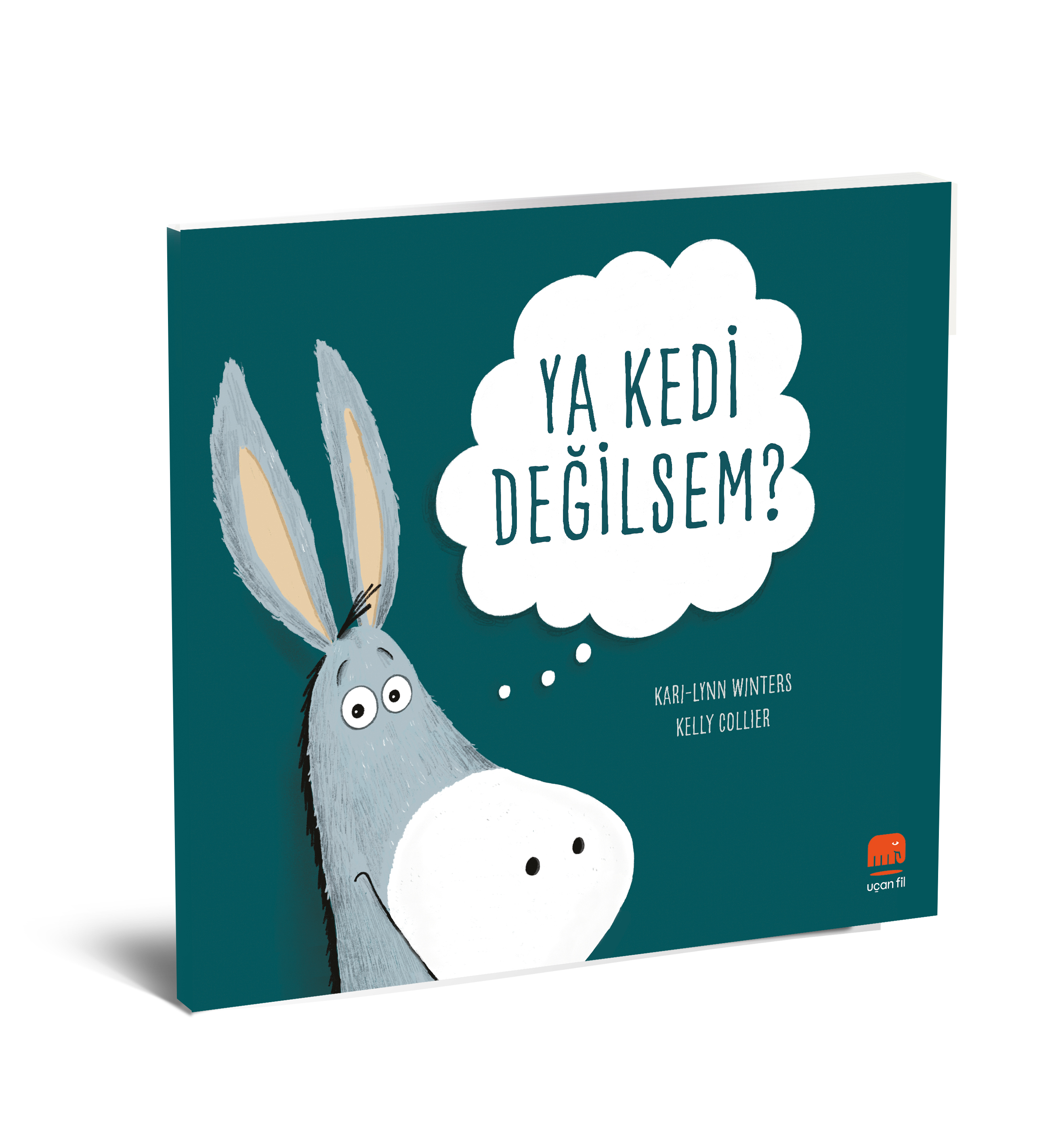 Ya Kedi Değilsem?