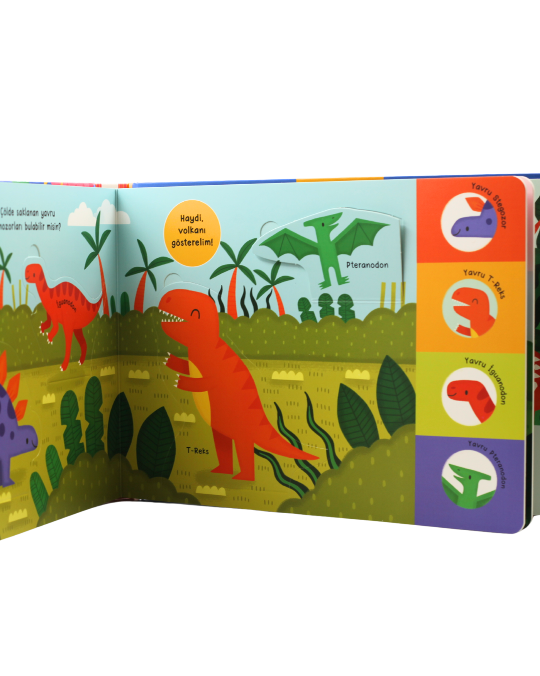 Pencereli Kitap Bul Aç Bak – Çılgın Dinozorlar