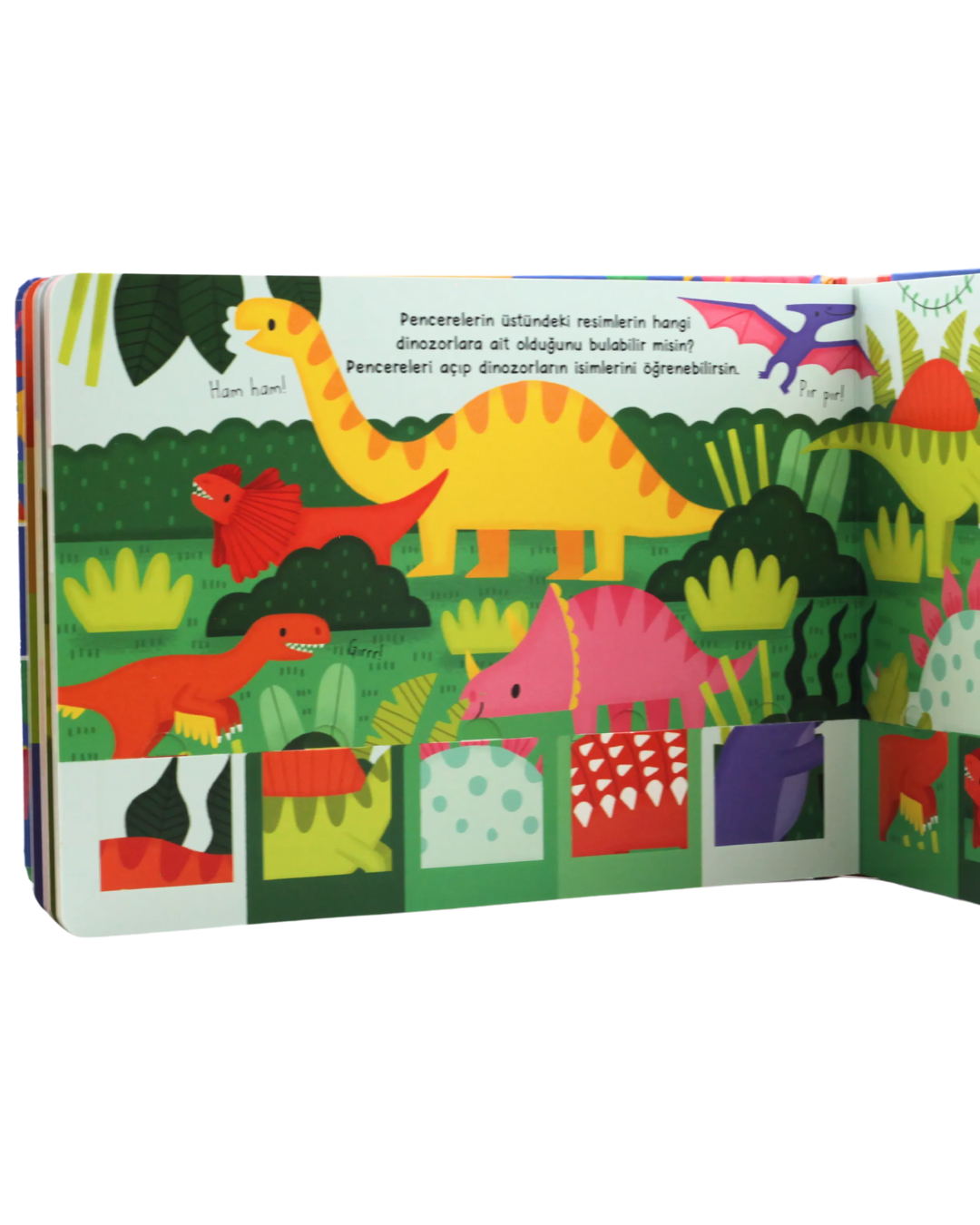Pencereli Kitap Bul Aç Bak – Çılgın Dinozorlar
