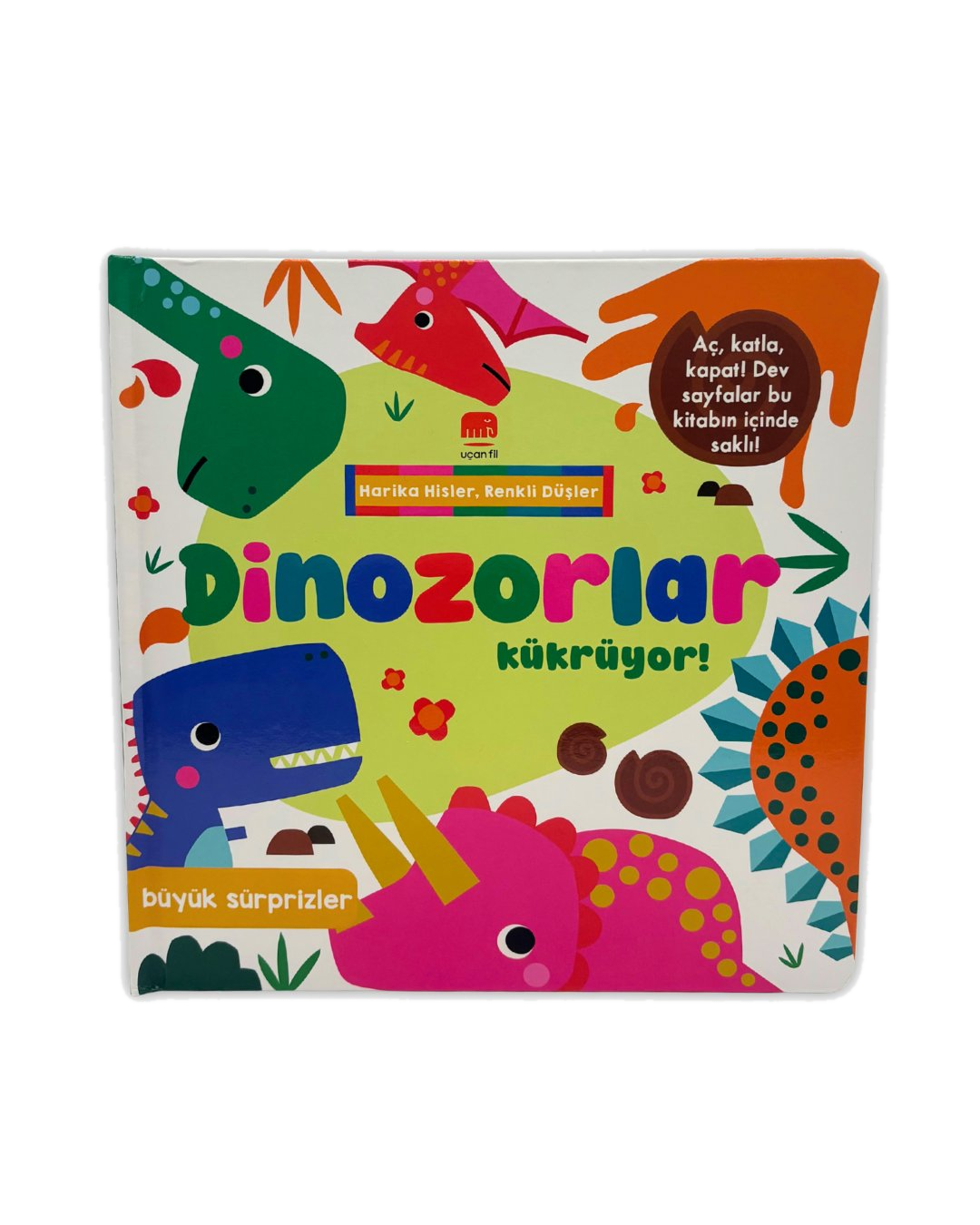 Büyük Sürprizler - Dinozorlar!