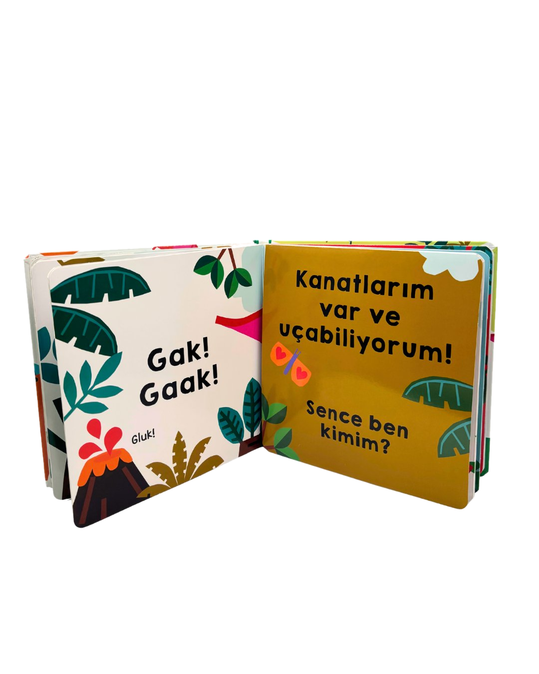 Büyük Sürprizler - Dinozorlar!
