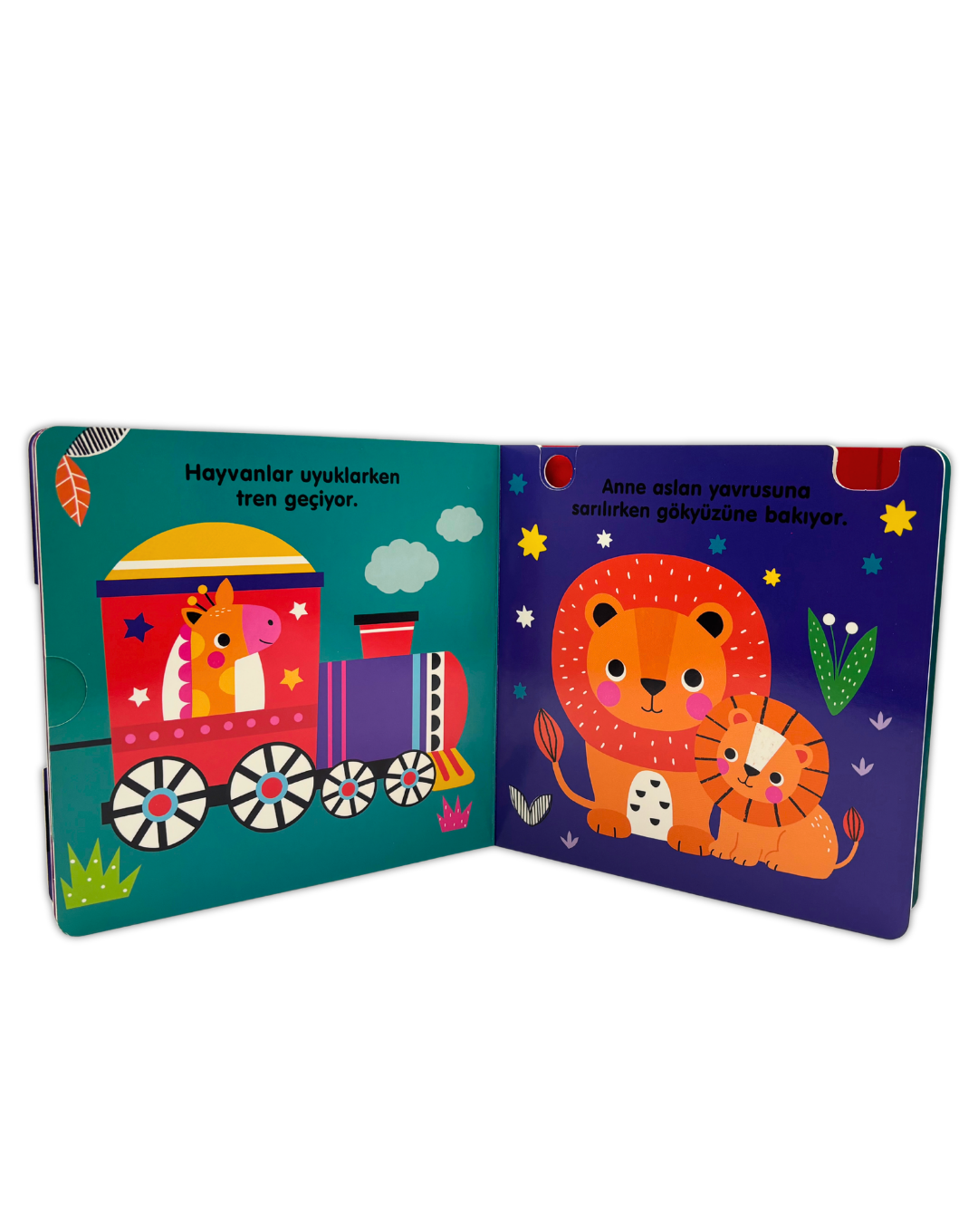 Sakla Ve Kaydır - Sen Bir Yıldızsın