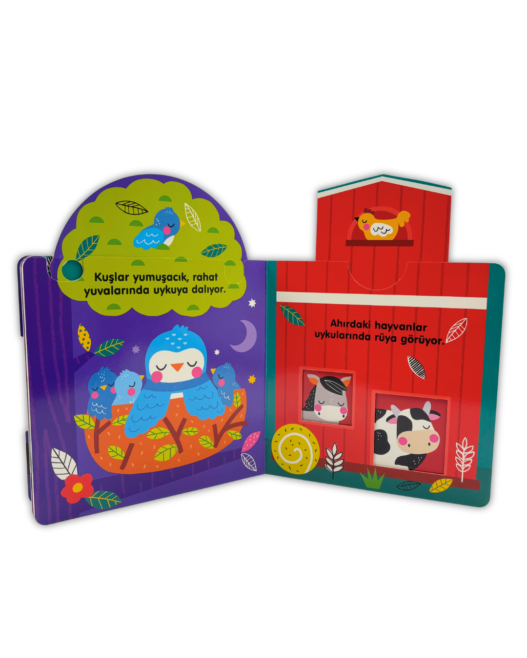 Sakla Ve Kaydır - Sen Bir Yıldızsın