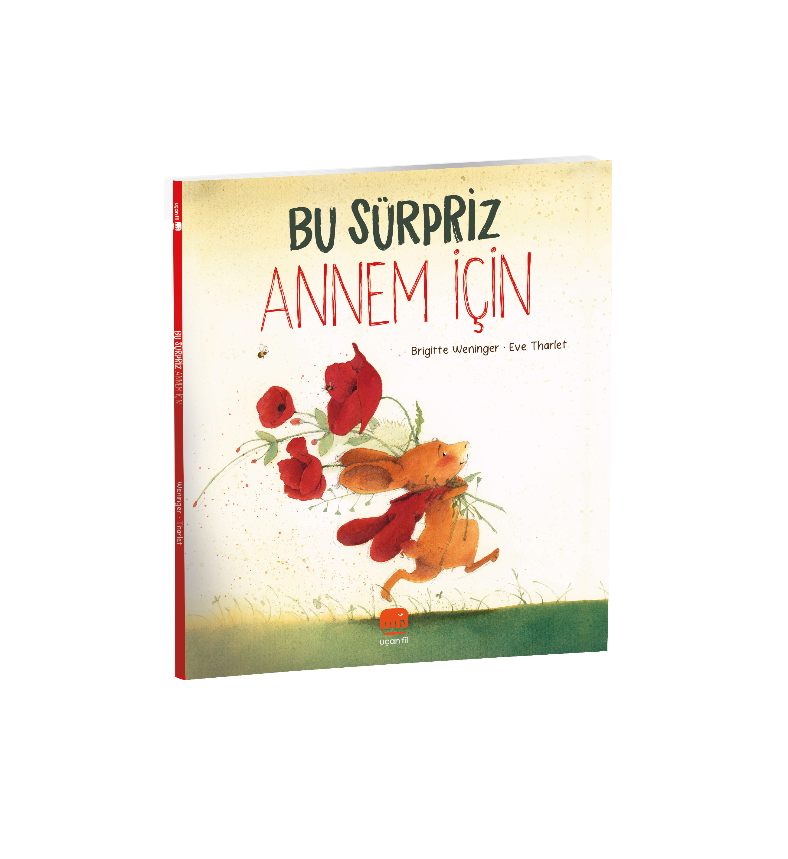 Bu Sürpriz Annem İçin