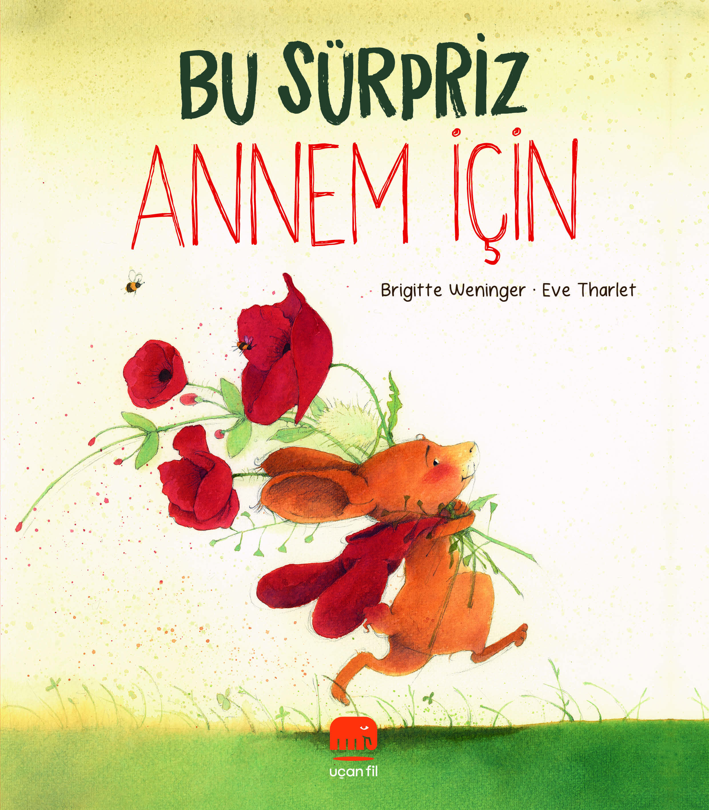 Bu Sürpriz Annem İçin